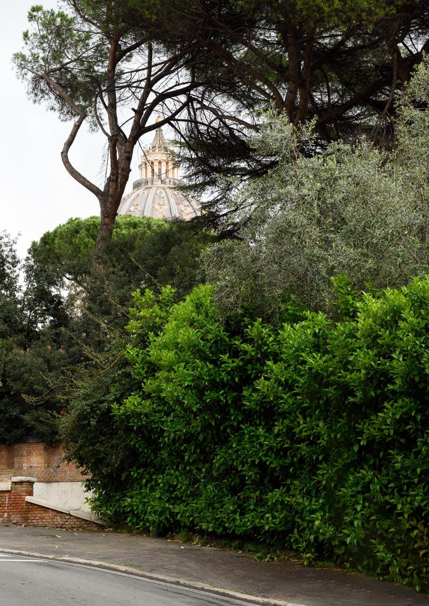 Magnoliahome Alla Cupola Di San Pietro Roma Exterior foto